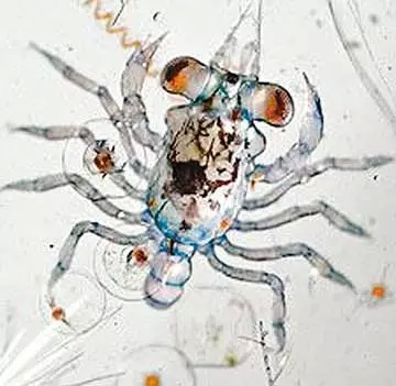 1429321783107420.jpg 02.jpg